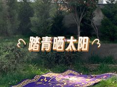 -万寿八仙宫