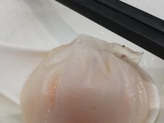 -鹅城