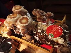 -大头椰·椰子鸡火锅(南宁万象城店)