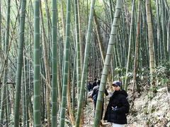 -会稽山峡洞漂流-上青古道