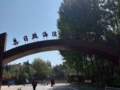 -日照海滨国家森林公园