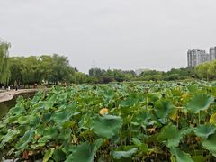 -太阳宫公园