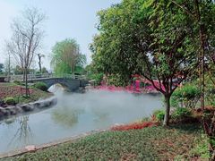 -鹅湖玫瑰文化园