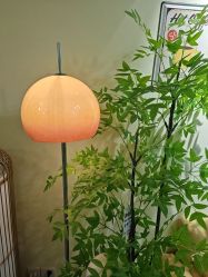 -变美丽半永久纹眉连锁·机器野生眉•洗眉