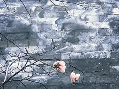 -东华门大街小区