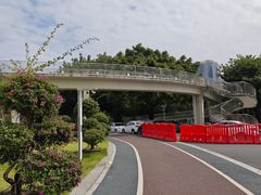-文华公园(禅城区)