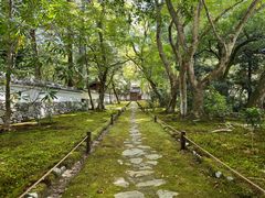 -西芳寺(苔寺)