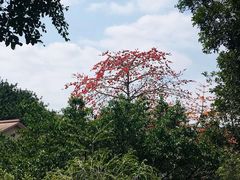 -广州雕塑公园