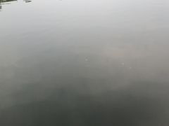 -特种渔场