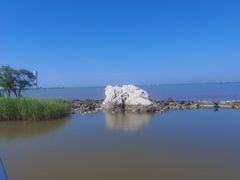 -上海吴淞炮台湾国家湿地公园