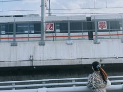 -海堤纪念公园