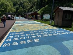 -婺源月亮湾