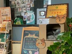 -御宝贝·A梦猫科宠物医院(国际猫友好医院)
