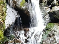 -藏龙百瀑风景区