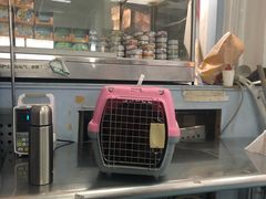 -北京赛佳动物医院