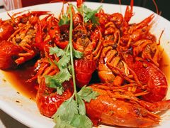 麻辣小龙虾-海底捞火锅(奥体南路店)