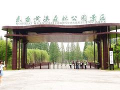 -黄海国家森林公园