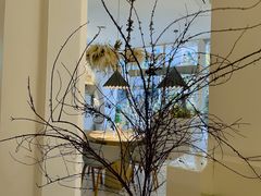 -春树下·树屋花房西餐厅(罍街AS1980店)