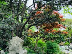-兰溪青年公园