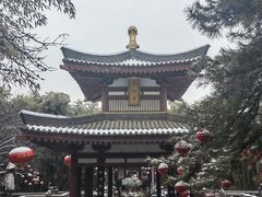 -大唐博相府酒店·陕西官府菜