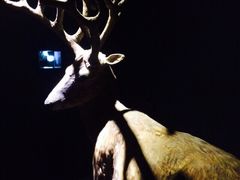 iphone_upload_pic-溱湖国家湿地公园