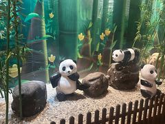 -上海野生动物园