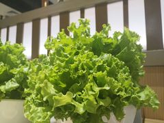 -韩宫宴烤肉·黑毛和牛·料理(合肥滨湖银泰城店)