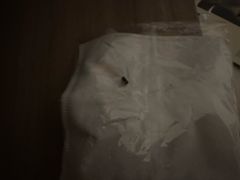 -喀纳斯鸿福生态度假酒店