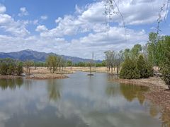 -野鸭湖国家湿地公园