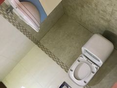 -金山农民画村-枫泾波兰倒置屋