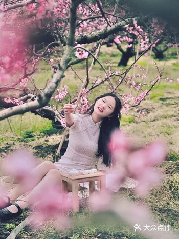 被问爆了的苏州桃花林打卡地！