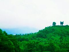 -聚龙山公园