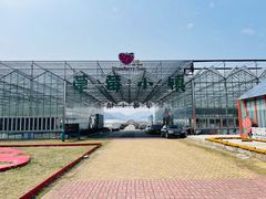 -建德果蔬乐园绪塘草莓基地