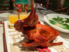 -大鸽饭(动物园店)