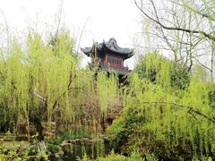 -水绘园