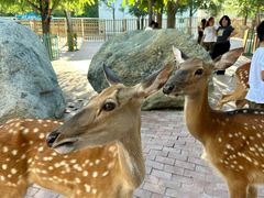 -水上乐园·欢乐世界