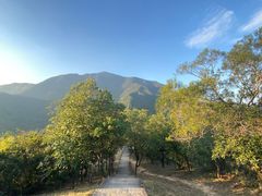 -梧桐山风景名胜区