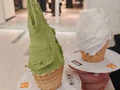 -野人先生Gelato(上海长宁龙之梦店)