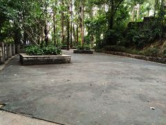 -南岗山公园