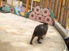 -昆明动物园