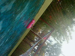 android_upload_pic-上海玛雅海滩水公园