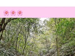 -常德桃花源景区