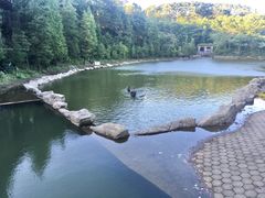 -广州市帽峰山景区
