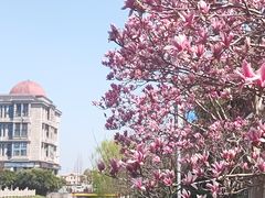 -泗泾镇社区文化活动中心