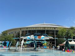 -海合安成都极地海洋公园