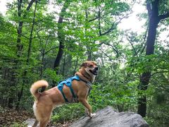 -阳台山自然风景区