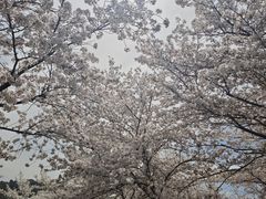 -苏州上方山国家森林公园