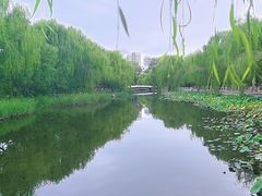 -满都海公园
