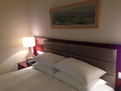 iphone_upload_pic-东航云逸酒店(九溪烟树店)