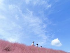 -嘉北郊野公园
